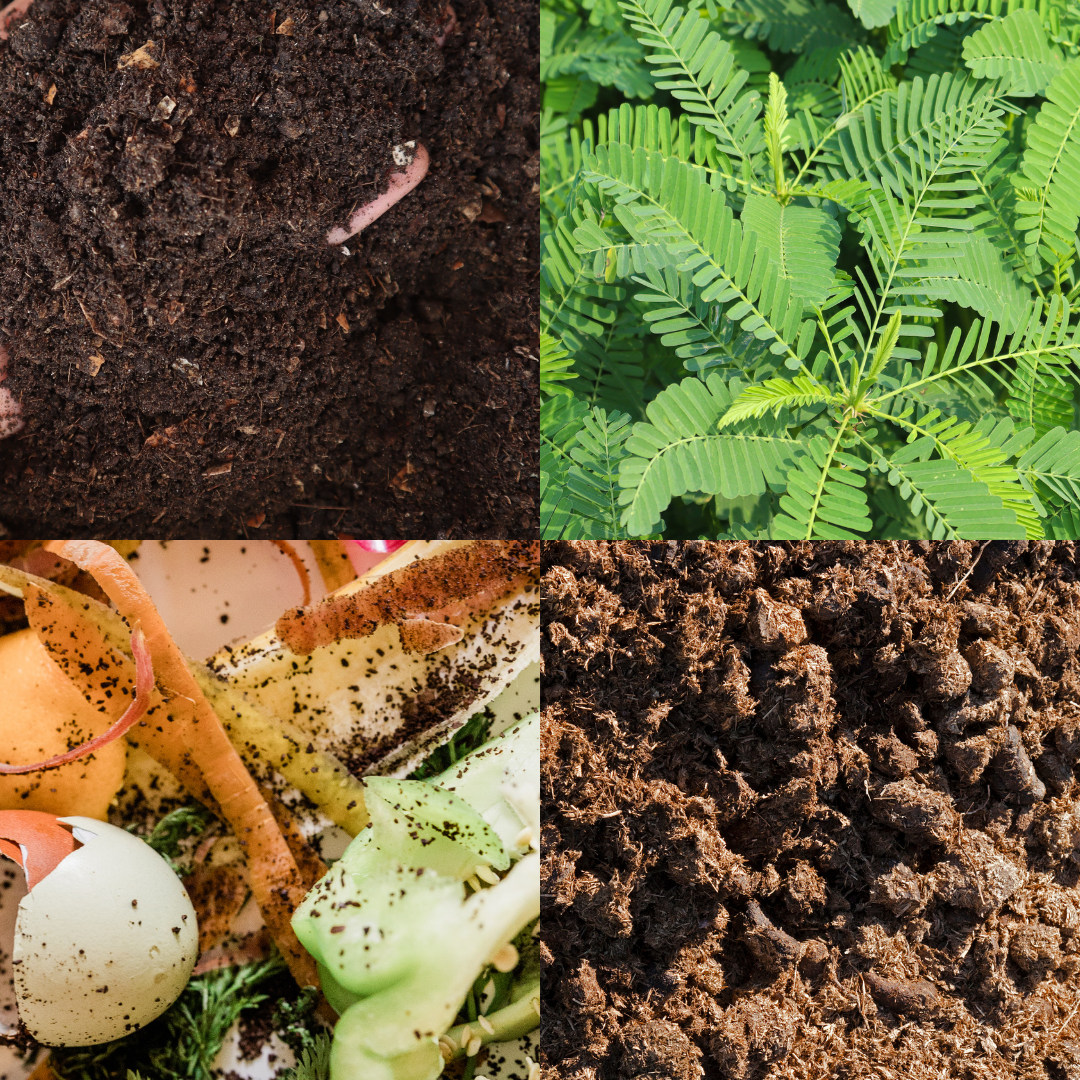 Organic Farming (1)