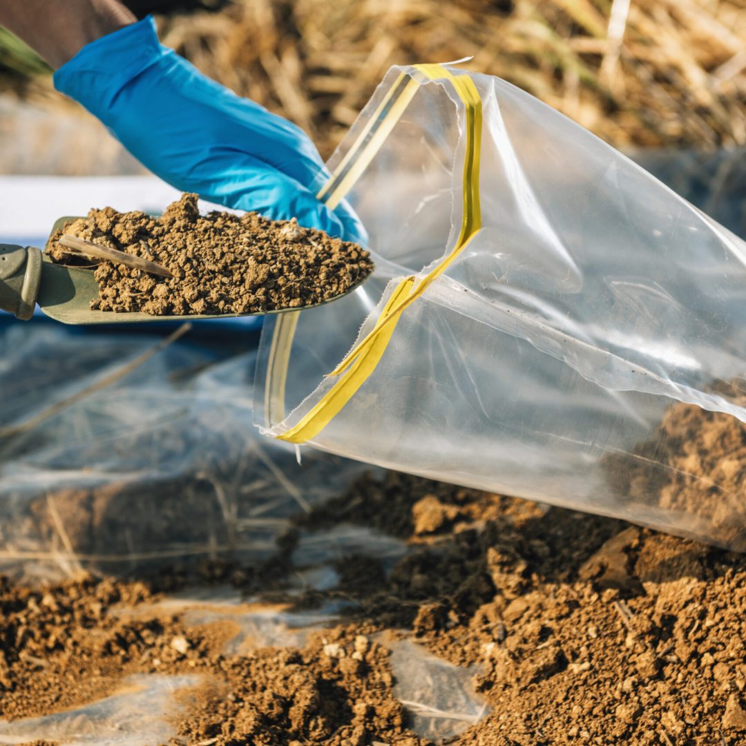 soil-testing-agronomy-inspector-taking-soil-sampl-2021-08-26-16-53-52-utc-scaled